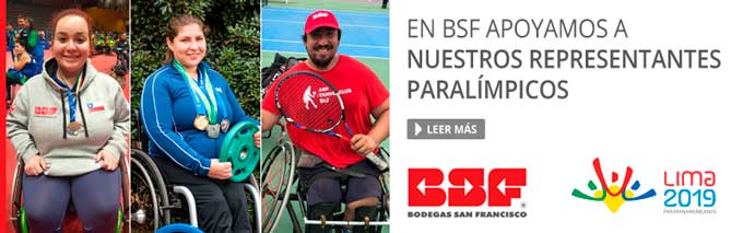 BSF Art deport banner pat 01