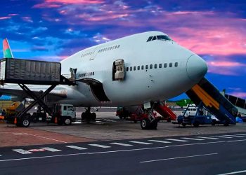 PERFORMANCE 2018 Y RETOS FUTUROS DEL MERCADO DE TRANSPORTE DE CARGA AEREO