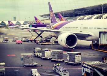 CLAVES DEL TRANSPORTE AÉREO DE ANIMALES VIVOS