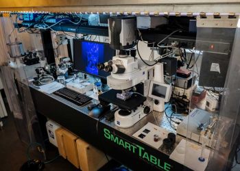 IBM RESEARCH LATINOAMÉRICA ANUNCIA UNA TECNOLOGÍA HABILITADA POR IA