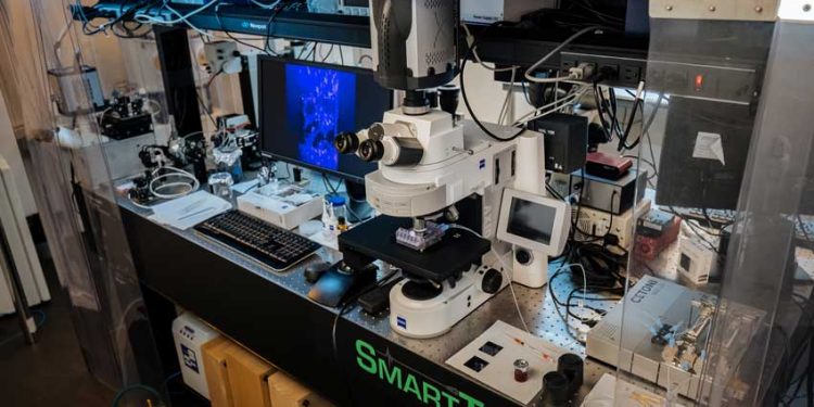 IBM RESEARCH LATINOAMÉRICA ANUNCIA UNA TECNOLOGÍA HABILITADA POR IA