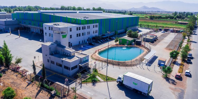 TW LOGÍSTICA INAUGURA AMPLIACIÓN DE CENTRO PERALILLO CON INFRAESTRUCTURA DE PRIMER NIVEL