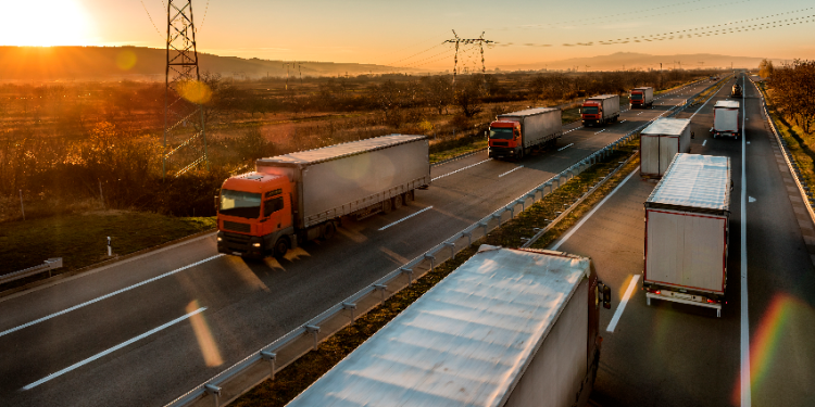 SEGURIDAD EN LA RUTA: LA LIBERTAD INDIVIDUAL TERMINA DONDE EMPIEZA LA DEL OTRO