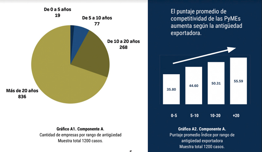 Grafico 1