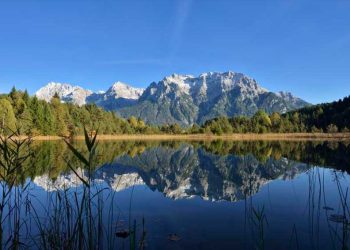 SUSTENTABILIDAD 2025: ORACLE RENUEVA SU COMPROMISO CON LOS OBJETIVOS MEDIOAMBIENTALES