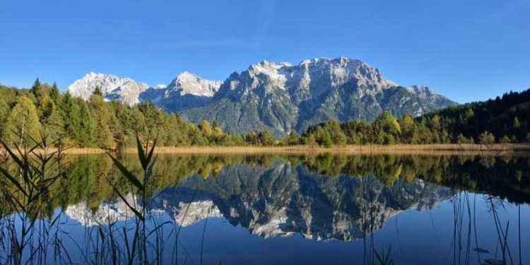 SUSTENTABILIDAD 2025: ORACLE RENUEVA SU COMPROMISO CON LOS OBJETIVOS MEDIOAMBIENTALES