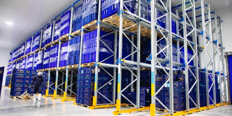 AR RACKING COMBINA VARIOS SISTEMAS DE ALMACENAJE SISMORRESISTENTES  EN LA NUEVA PLANTA DE EMERGENT COLD