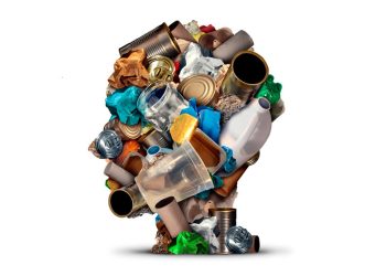 INNOVACIÓN EN TIEMPOS DE PANDEMIA: ETIQUETAS IML Y TERMOCONTRAÍBLES