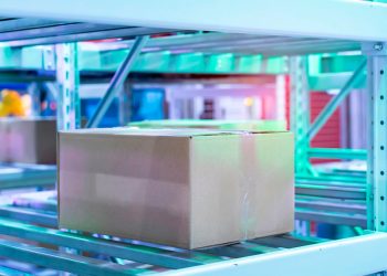 LOGÍSTICA ORGÁNICA ADAPTACIÓN COMO MEDIO DE SOBREVIVENCIA EN TIEMPOS DE PANDEMIA