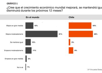 PRINCIPALES RESULTADOS DE LA 24ª ENCUESTA GLOBAL A CEO’S