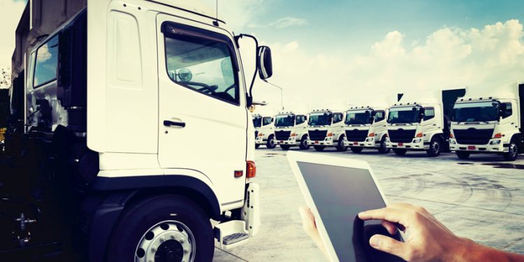 SUSTENTABILIDAD SOBRE RUEDAS