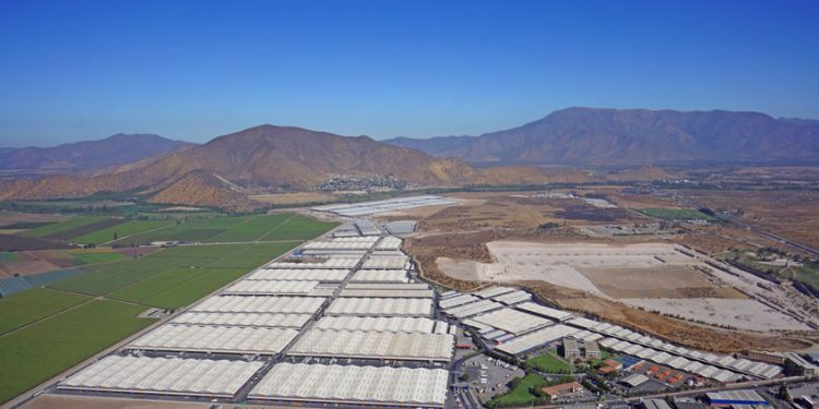 “PIENSA EN GRANDE”: LA INVITACIÓN DE BODEGAS SAN FRANCISCO PARA QUE TODOS PUEDAN CRECER CON APOYO LOGÍSTICO