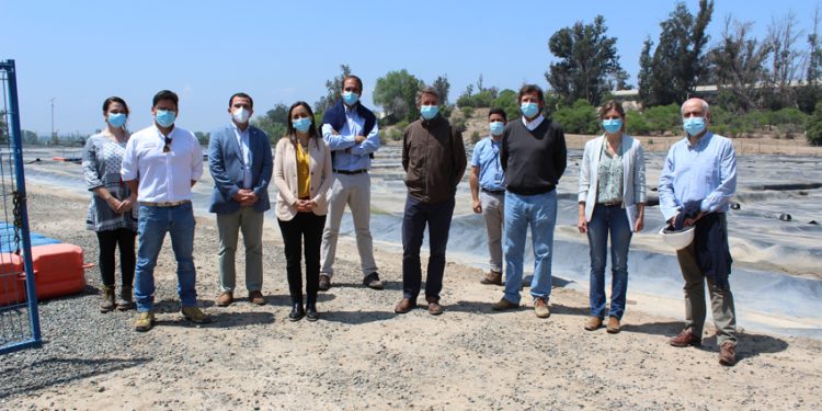 MINISTRA DE AGRICULTURA DESTACA LA GESTIÓN SUSTENTABLE EN LA CRIANZA DE CERDOS DE AGROSUPER