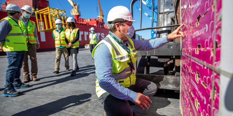 9.210 PALLETS DE FRUTA FRESCA SE EMBARCAN  RUMBO A ESTADOS UNIDOS 