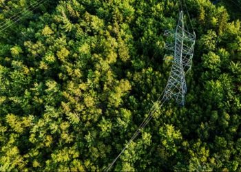 SHELL LANZA UN LUBRICANTE BIODEGRADABLE DE ALTO RENDIMIENTO PARA TRANSFORMADORES ELÉCTRICOS