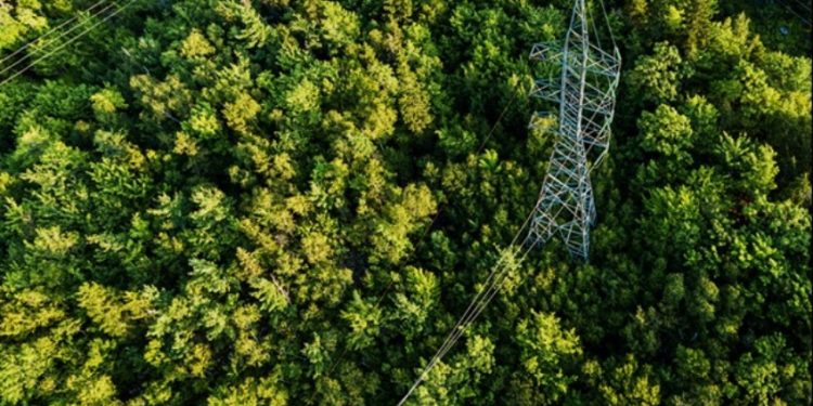 SHELL LANZA UN LUBRICANTE BIODEGRADABLE DE ALTO RENDIMIENTO PARA TRANSFORMADORES ELÉCTRICOS