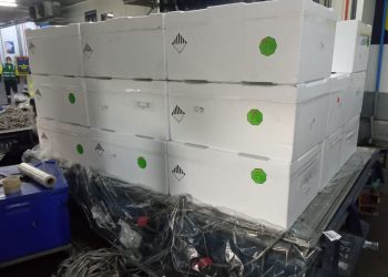 ANDES LOGISTICS INNOVA CON TRANSPORTE AÉREO EN TIEMPO RÉCORD PARA CARGAS CONGELADAS