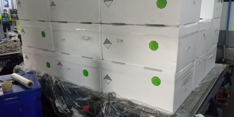 ANDES LOGISTICS INNOVA CON TRANSPORTE AÉREO EN TIEMPO RÉCORD PARA CARGAS CONGELADAS