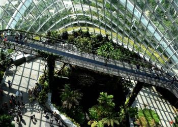 CLAVES PARA UN CRECIMIENTO SOSTENIBLE DE LA CADENA DE SUMINISTRO