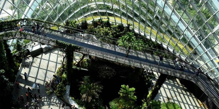 CLAVES PARA UN CRECIMIENTO SOSTENIBLE DE LA CADENA DE SUMINISTRO