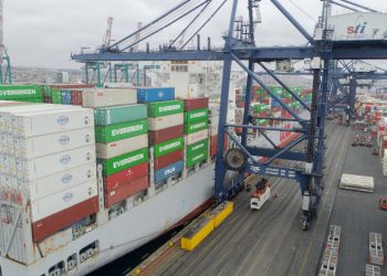 STI ESPERA DUPLICAR ENVÍOS DE CEREZAS ESTA TEMPORADA