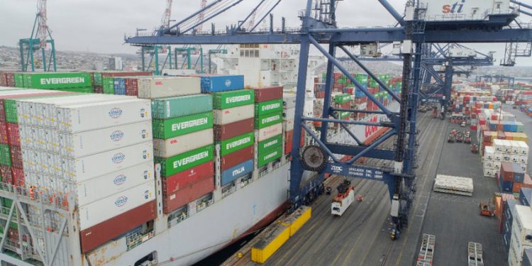 STI ESPERA DUPLICAR ENVÍOS DE CEREZAS ESTA TEMPORADA