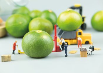 TRANSPORTE AL SERVICIO DE LA FRUTA