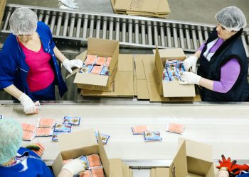 PROFESIONALES POR PROYECTOS Y DE REGIONES GANAN TERRENO