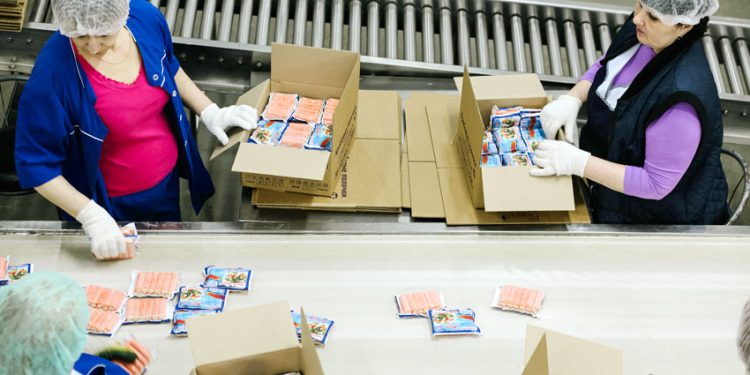 PROFESIONALES POR PROYECTOS Y DE REGIONES GANAN TERRENO