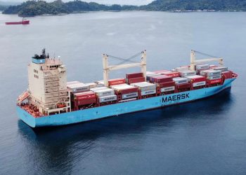 VENTAJAS DE LA DIGITALIZACIÓN EN EL TRANSPORTE DE CARGA Y LA CADENA DE SUMINISTRO