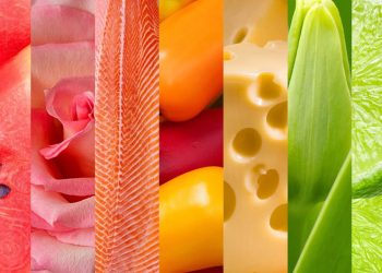 RHENUS EXPANDE SUS SERVICIOS PARA PERECIBLES EN CHILE