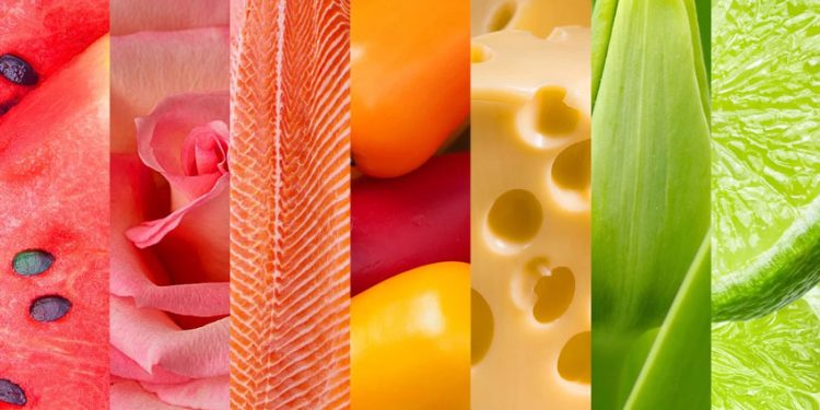 RHENUS EXPANDE SUS SERVICIOS PARA PERECIBLES EN CHILE