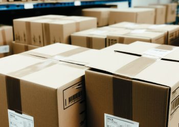 ¿ESTÁS PREPARADO? EL E-COMMERCE SEGUIRÁ DESAFIANDO A LA INDUSTRIA ESTE 2024