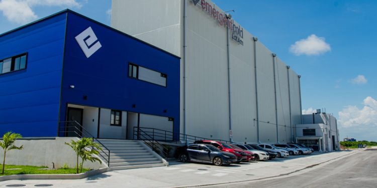 CADENA DE FRÍO: PRINCIPALES TENDENCIAS 2024 PARA EL ALMACENAMIENTO DE ALIMENTOS