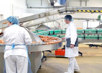 INNOVACIÓN ALIMENTARIA CON NOVATEAM: EFICIENCIA, CALIDAD Y SOSTENIBILIDAD EN EL SECTOR