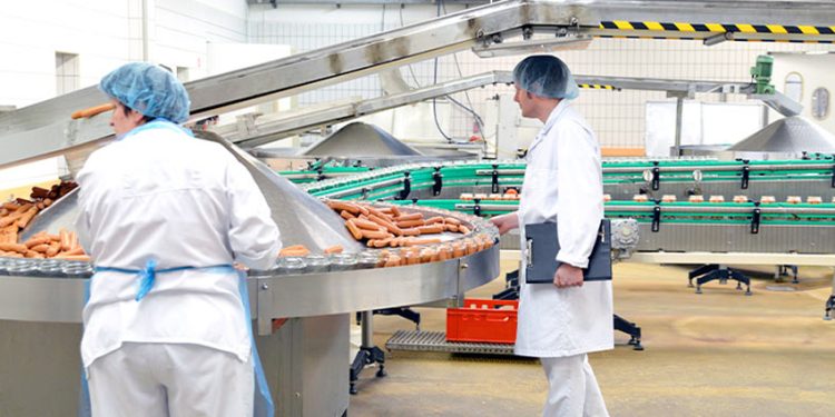 INNOVACIÓN ALIMENTARIA CON NOVATEAM: EFICIENCIA, CALIDAD Y SOSTENIBILIDAD EN EL SECTOR