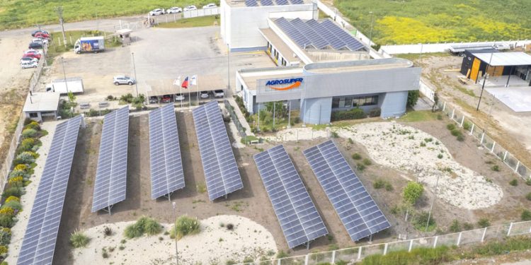 AGROSUPER INVITA AL MUNDO ACADÉMICO Y STARTUPS A EXPLORAR SOLUCIONES QUE PUEDAN SER APLICADAS EN SU CADENA DE VALOR