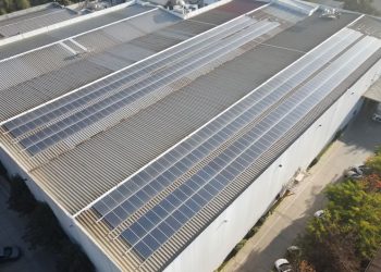 VIRBAC CHILE Y ALIANZA CON GRUPO SUNROOF. “ES UN PLACER TRABAJAR CON PROVEEDORES QUE RESPONDEN Y TE ACOMPAÑAN EN TODO EL CAMINO”