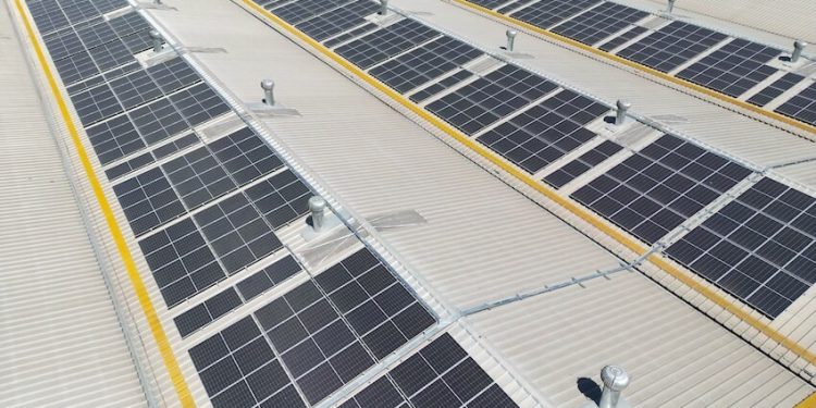 CENTRAL BODEGAS MIDE SU HUELLA DE CARBONO