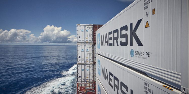 TECNOLOGÍA REEFER AL SERVICIO DE LAS EXPORTACIONES DE PRODUCTOS CHILENOS