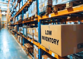 DATA Y SOSTENIBILIDAD: TRANSFORMANDO LA CADENA DE SUMINISTRO Y EL COMERCIO EXTERIOR