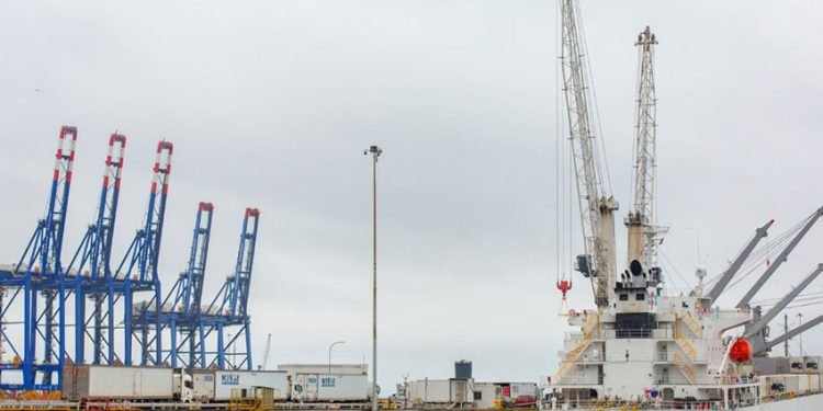 PUERTO CORONEL SE PREPARA PARA MOVER 20 MIL CONTENEDORES REFRIGERADOS DURANTE TEMPORADA 2024-2025