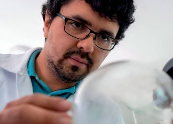 PELÍCULA PARA EMPAQUE: EL INESPERADO USO DE PLANTAS NATIVAS DEL MAULE