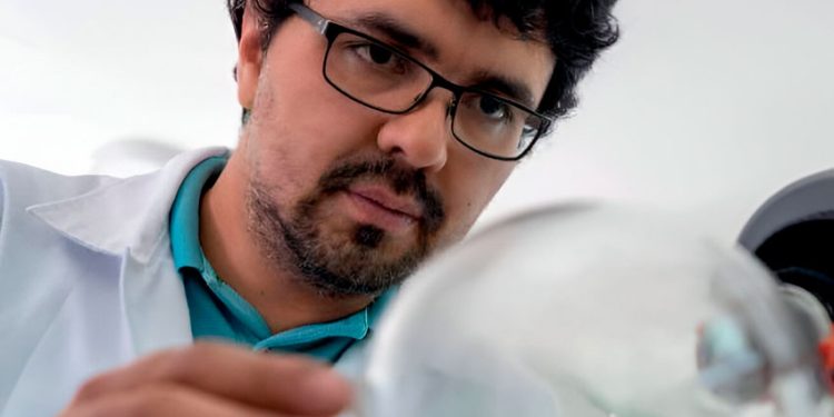 PELÍCULA PARA EMPAQUE: EL INESPERADO USO DE PLANTAS NATIVAS DEL MAULE