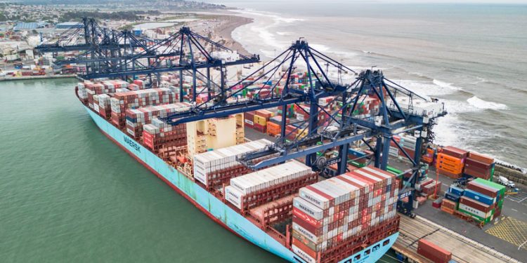 STI ALCANZA TRANSFERENCIAS POR 1 MILLÓN DE TEU POR DÉCIMO TERCER AÑO CONSECUTIVO