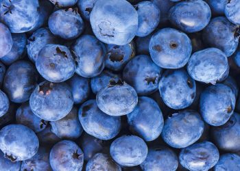 “CEREZA, CAROZO Y ARÁNDANO”: AGRICULTORES AUGURAN UN 20% MÁS DE PRODUCCIÓN PARA LA TEMPORADA