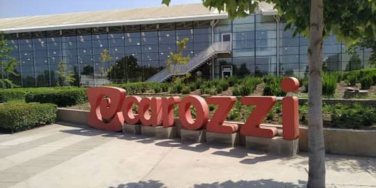 CAROZZI CONVOCA A STARTUPS Y EMPRENDEDORES A POSTULAR CON SUS PROYECTOS EN PROGRAMA DE INNOVACIÓN ABIERTA