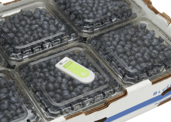 DE SENSORES DE TEMPERATURA A CÁMARAS INTELIGENTES: CÓMO CHILE LOGRA MANTENER FRESCAS LAS FRUTAS QUE EXPORTA A CHINA