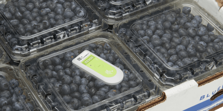 DE SENSORES DE TEMPERATURA A CÁMARAS INTELIGENTES: CÓMO CHILE LOGRA MANTENER FRESCAS LAS FRUTAS QUE EXPORTA A CHINA