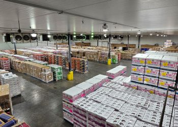 C.H. ROBINSON ENFRENTA UNA DE LAS TEMPORADAS FLORALES MÁS INTENSAS CON SOLUCIONES LOGÍSTICAS INNOVADORAS